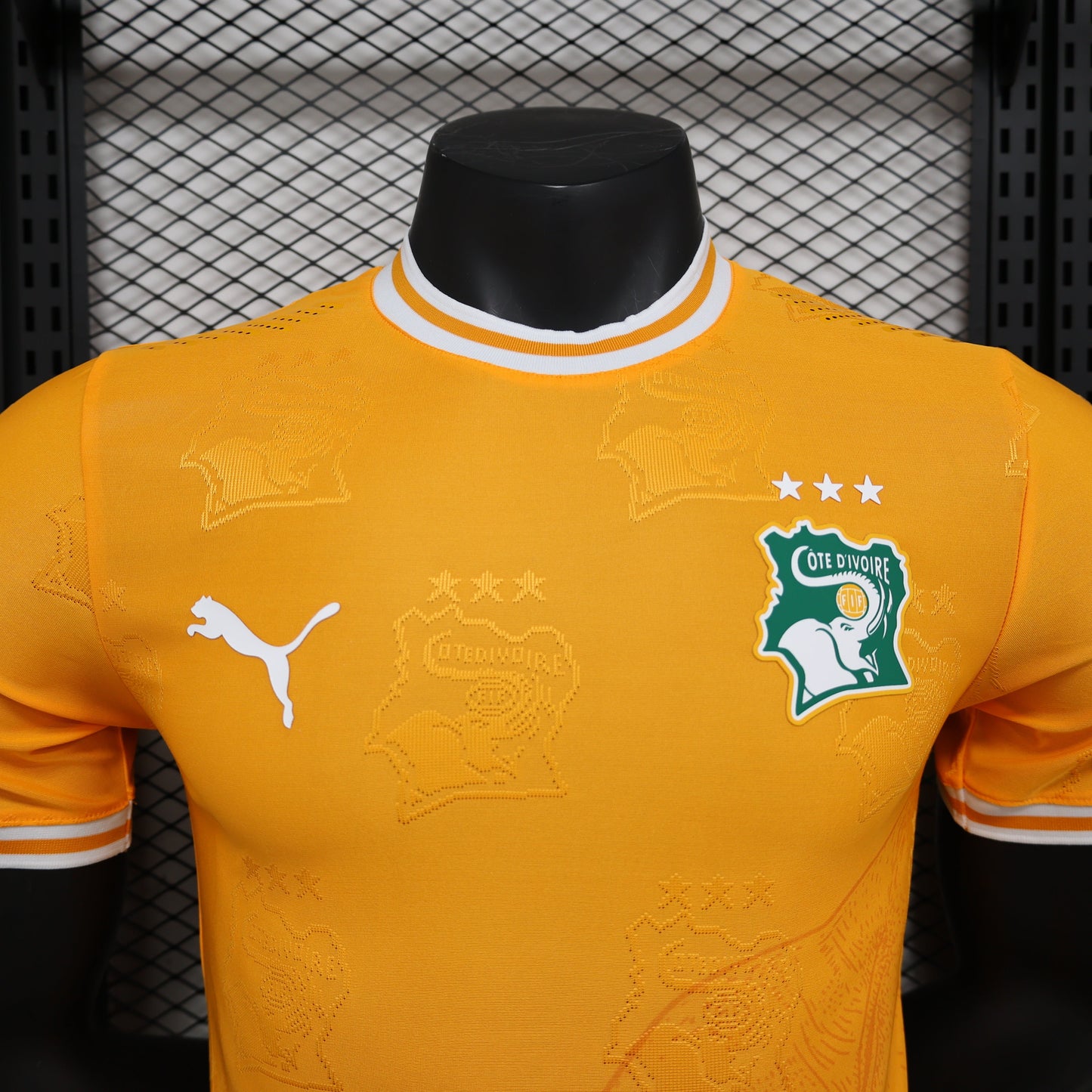 2026 Ivory Coast Orange Player Version Jersey