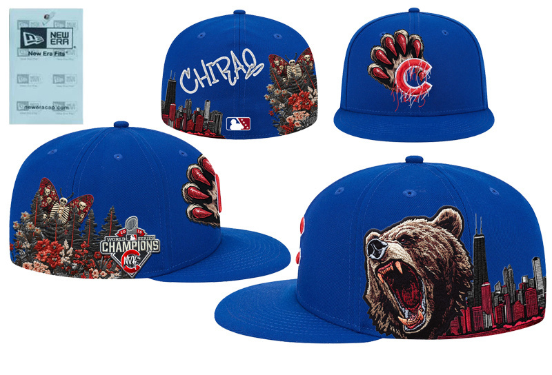 Chicago Cubs Hat