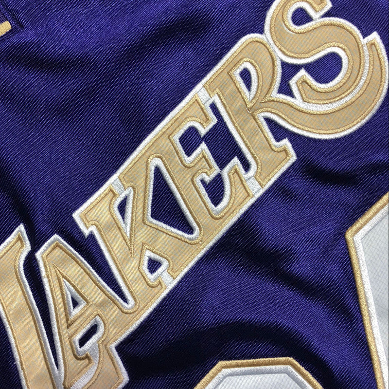 Kobe Bryant 2020 Hall of Fame Purple Fully Embroidered 24# Jersey