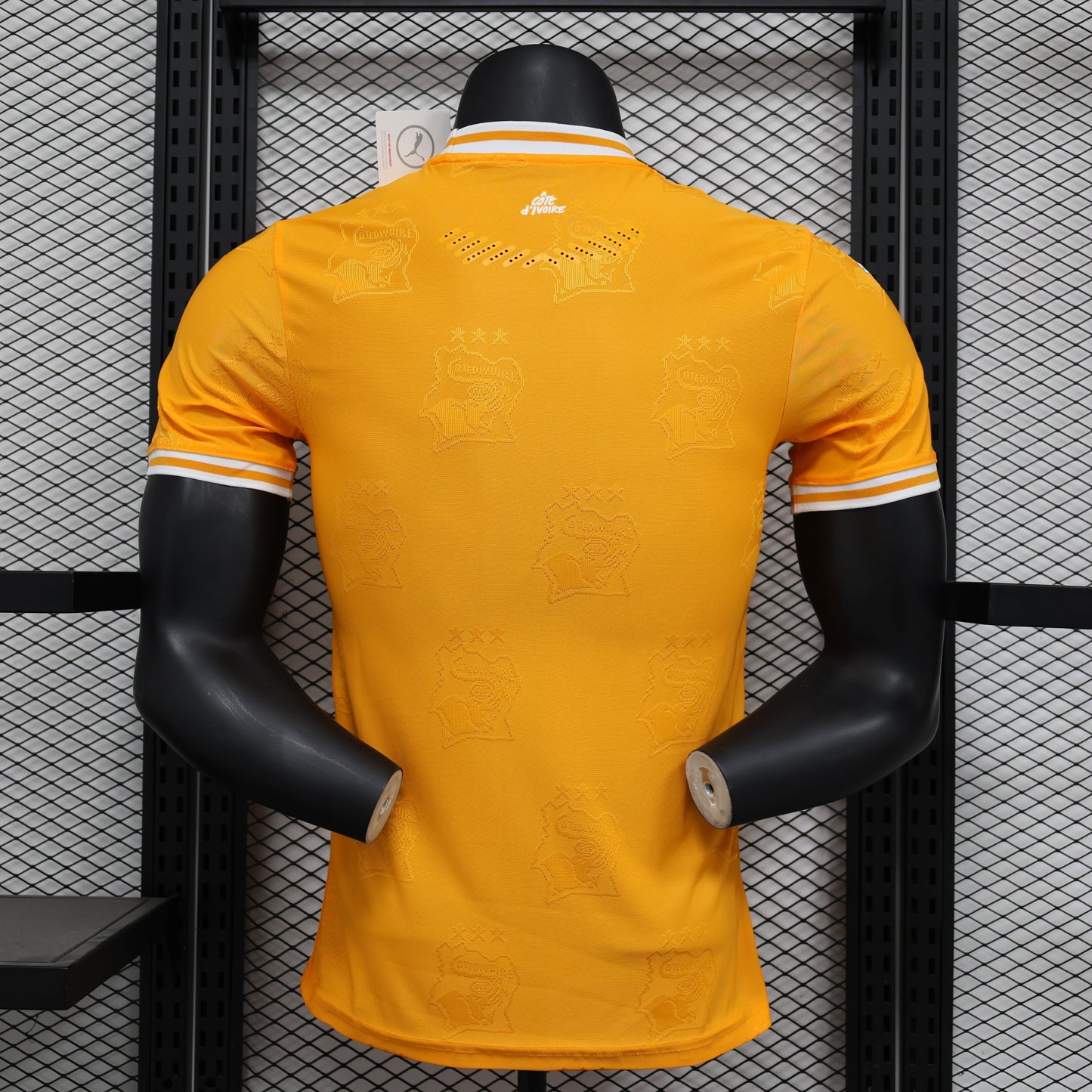 2026 Ivory Coast Orange Player Version Jersey