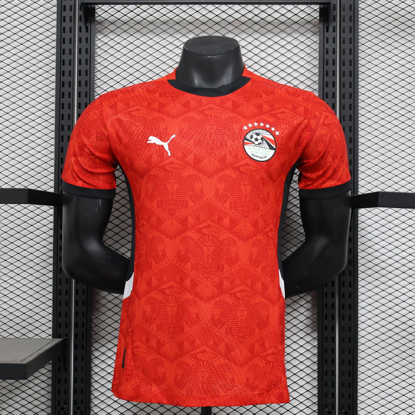 2026 Egypt Home Player Version Jersey (Perforated)