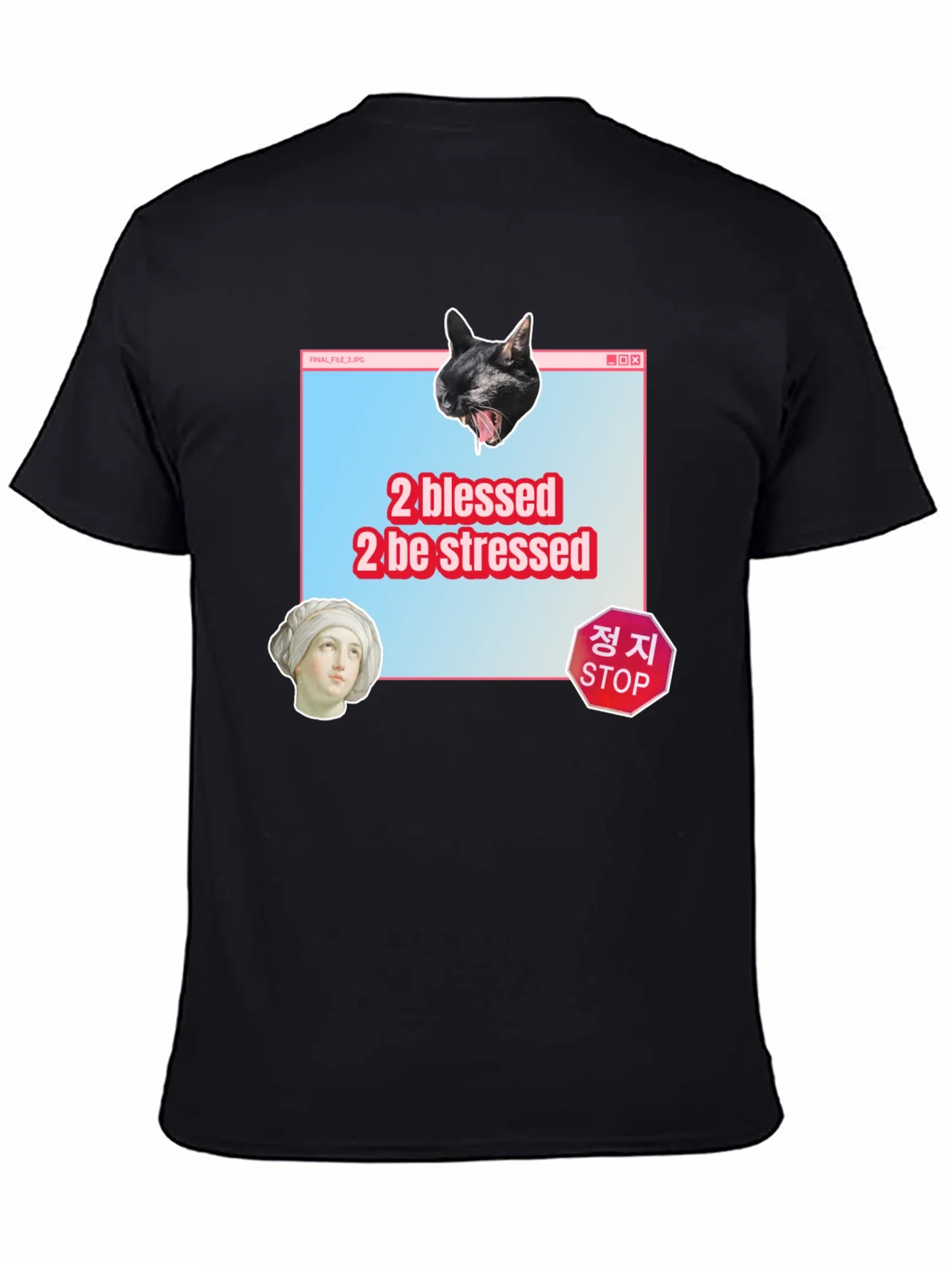 2 Blessed 2 Stressed Graphic Tee