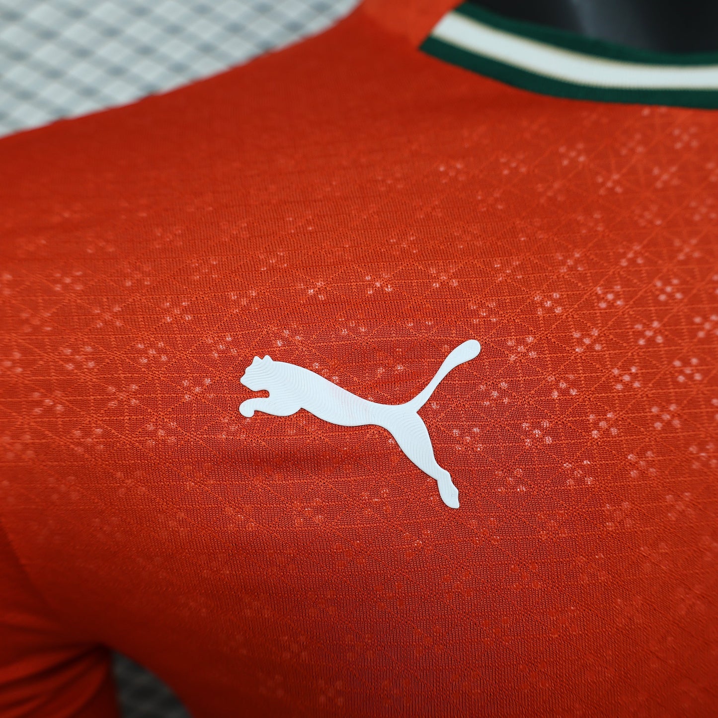 2026 Portugal Home Player Version Long-Sleeve Jersey