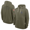 Men's Dallas Cowboys  Olive 2025 Salute to Service Sideline Standard Issue Dri-FIT Hoodie