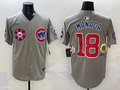 Men's Chicago Cubs Shota Imanaga Gray Player Jersey