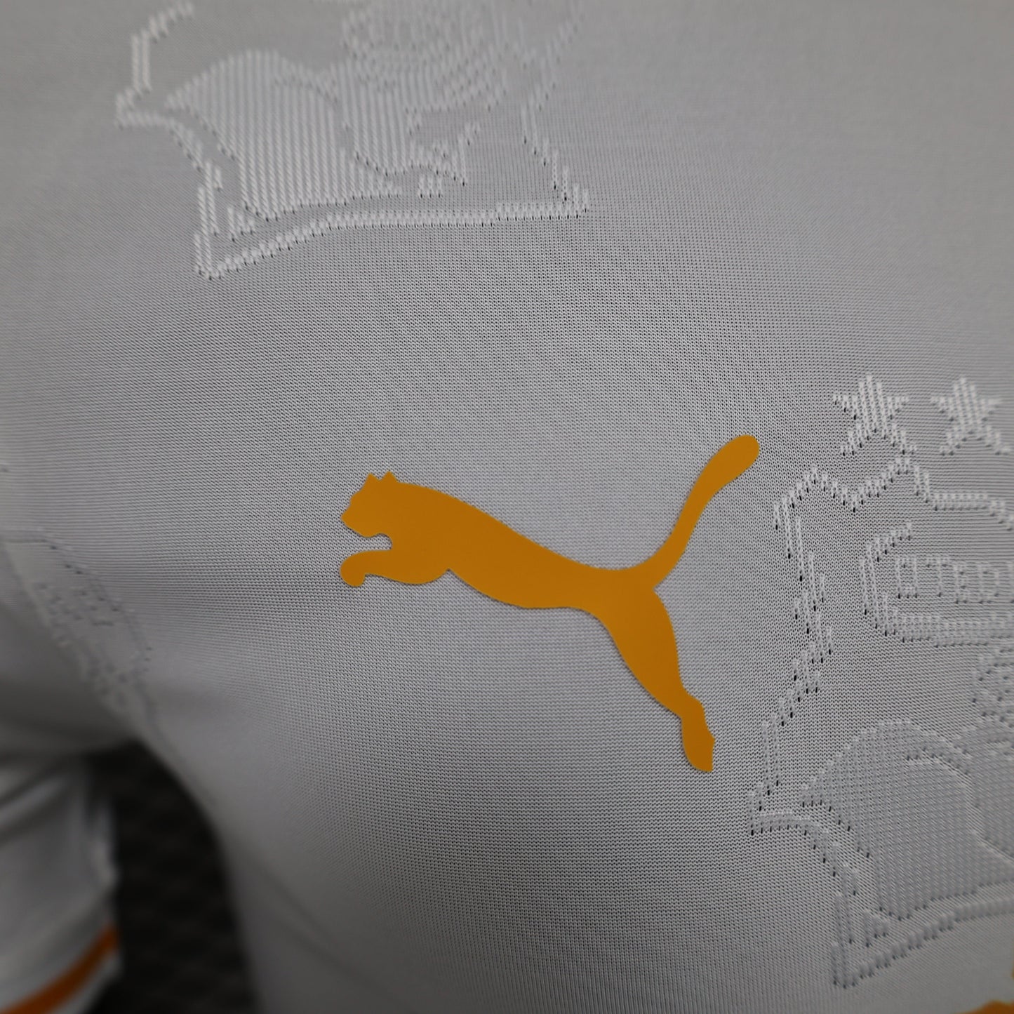 2026 Ivory Coast Special Edition Player Version Jersey