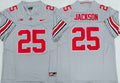 Men's Ohio State Buckeyes Bo Jackson Gray Player Game Jersey