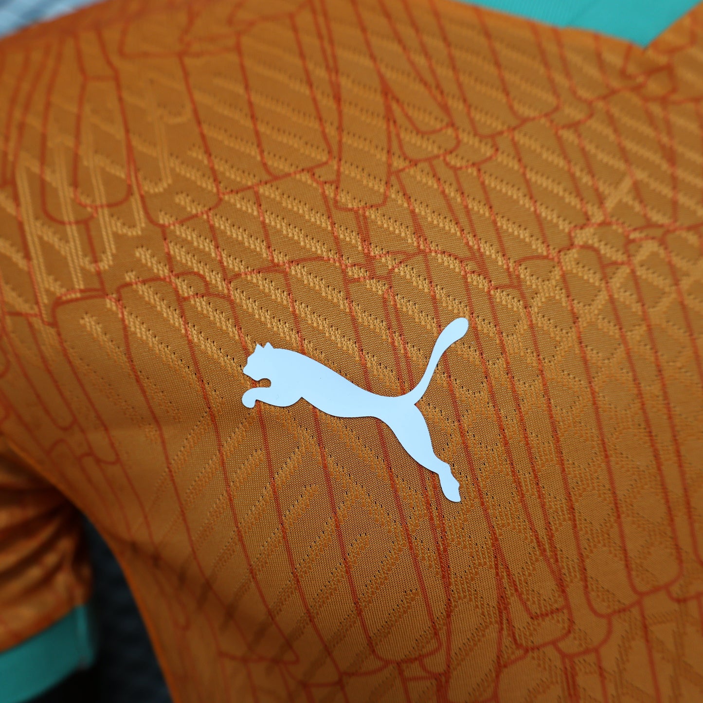 2026 Ivory Coast Orange Home Player Version Jersey