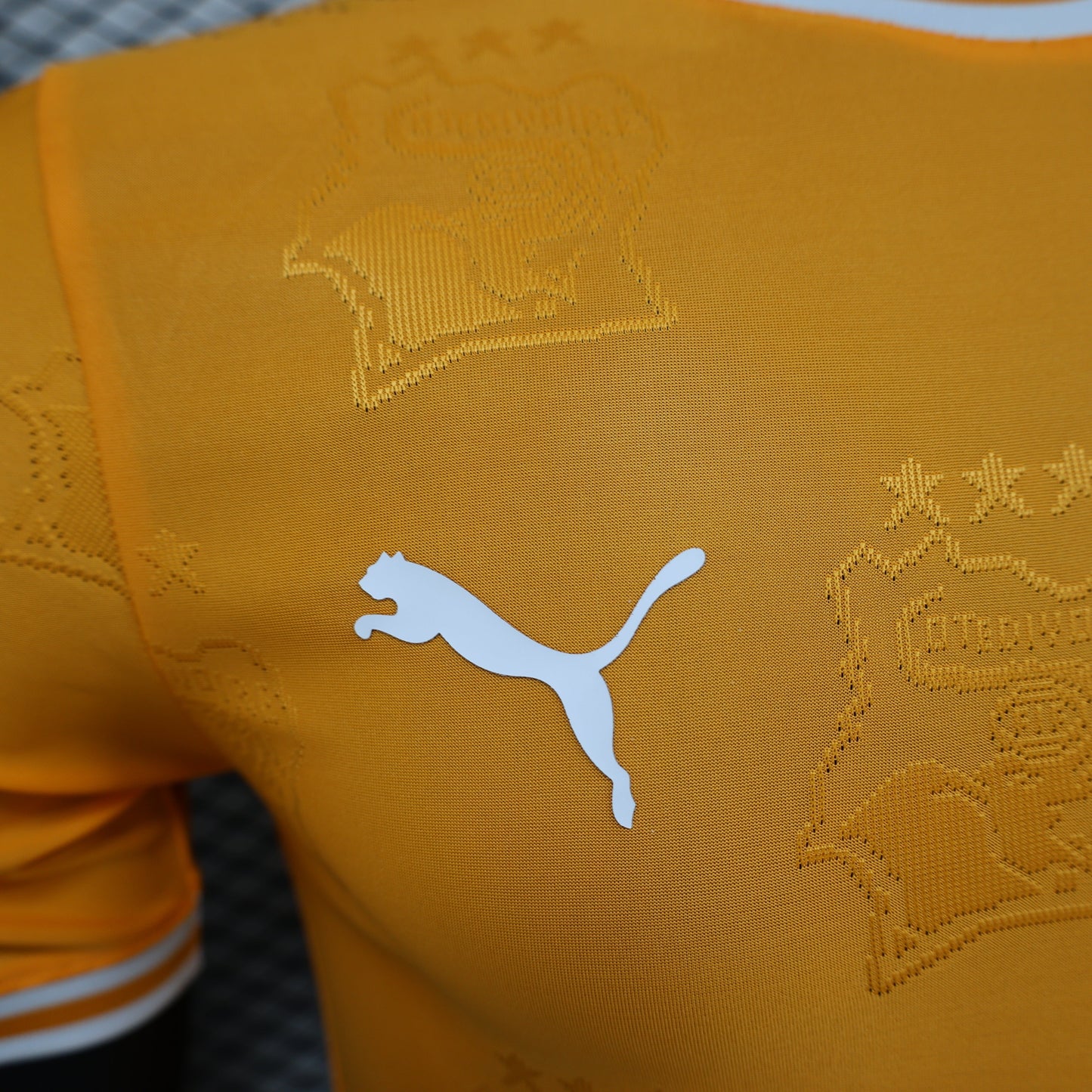 2026 Ivory Coast Orange Player Version Jersey