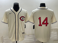 Men's Chicago Cubs Ernie Banks Cream Player Name Jersey
