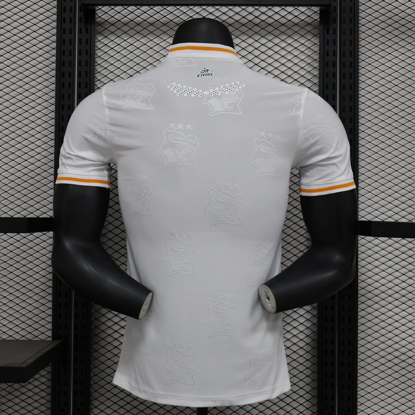 2026 Ivory Coast Special Edition Player Version Jersey